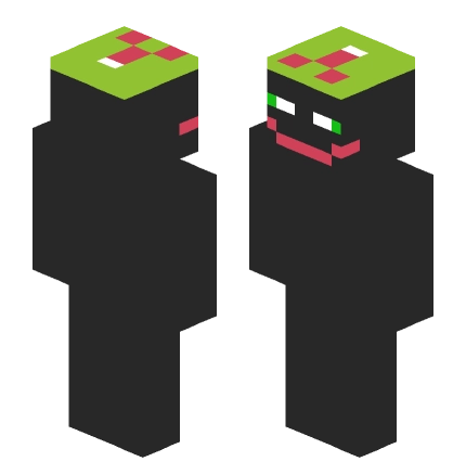 SkinseedSkin_1786589274660 —— Minecraft Steve皮肤